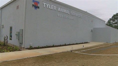 Tyler animal shelter - The Humane Society's Pets Fur People1823 County Road 386, Tyler, TX. Tiger Creek Wildlife Refuge. 17552 Farm to Market 14, Tyler, TX. Tyler Animal Control. 19739 County Road 113, Tyler, TX. 